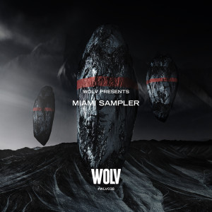 Various Artists的專輯WOLV x Miami Sampler