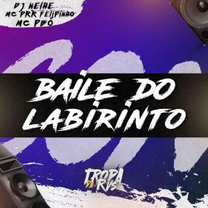 Album Baile do Labirinto (Explicit) from RVS Prod
