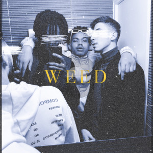 ดาวน์โหลดและฟังเพลง WEED (Explicit) พร้อมเนื้อเพลงจาก JLZR.