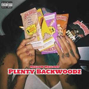Album Plenty Backwoodz (Explicit) from 