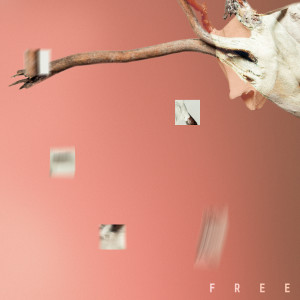 Free (Explicit)