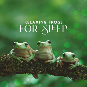 收聽Water Sound Natural White Noise的Zen Sleep with Nature歌詞歌曲
