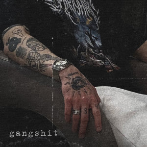 Album GangShit from 