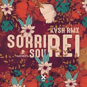 ดาวน์โหลดและฟังเพลง Sorri, Sou Rei (KVSH Remix) พร้อมเนื้อเพลงจาก KVSH