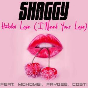 ดาวน์โหลดและฟังเพลง Habibi Love (I Need Your Love) พร้อมเนื้อเพลงจาก Shaggy