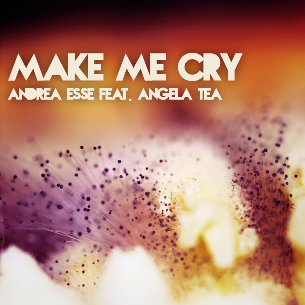 Make Me Cry (Extended Mix)