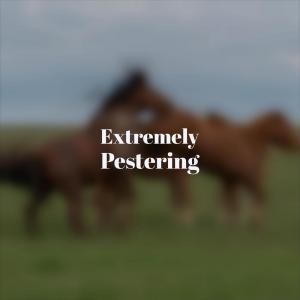 Album Extremely Pestering from Various