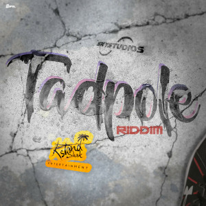 ดาวน์โหลดและฟังเพลง Tadpole Riddim (Instrumental) พร้อมเนื้อเพลงจาก Dapixel