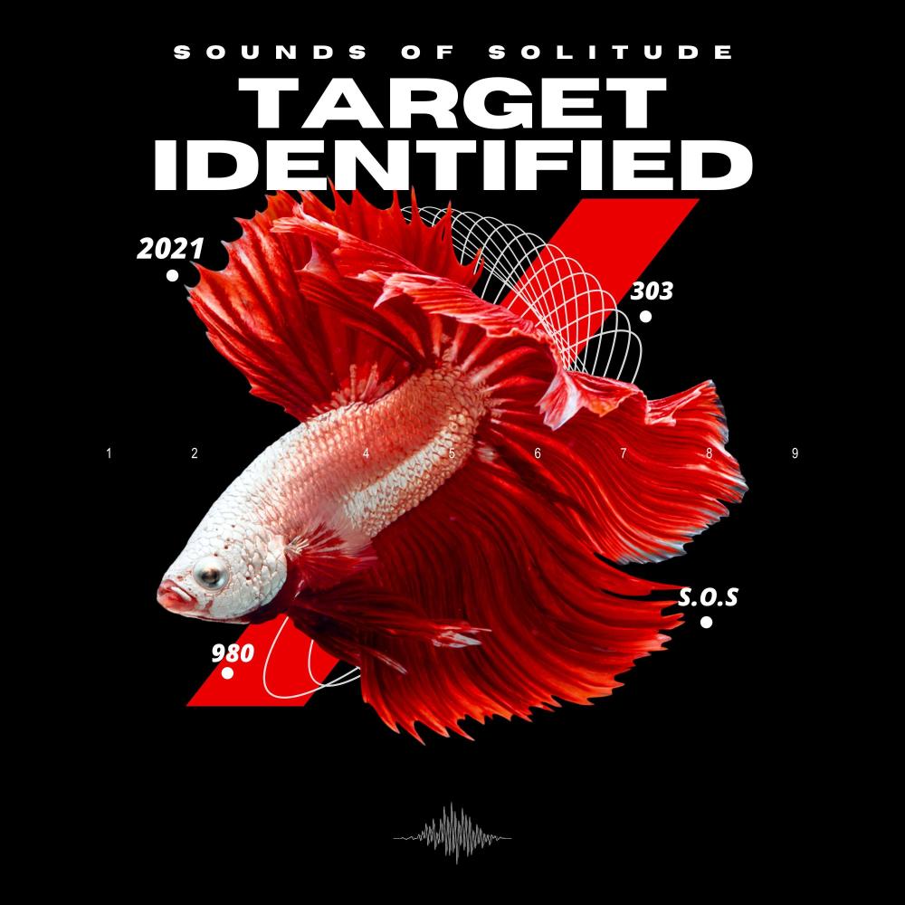 Target Identified