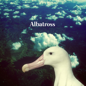 收聽Albatross的Set Me Free歌詞歌曲