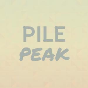 Various的专辑Pile Peak