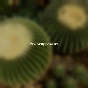 ดาวน์โหลดและฟังเพลง Turncoat พร้อมเนื้อเพลงจาก Chike Clash