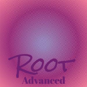 Album Root Advanced from Various