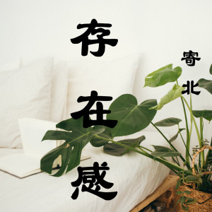 收听寄北的存在感歌词歌曲