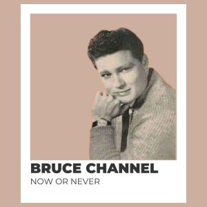 Album Now Or Never - Bruce Channel from Bruce Channel