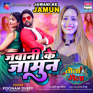 收听Poonam Dubey的Jawani Ke Jamun (From "Tota Maina")歌词歌曲