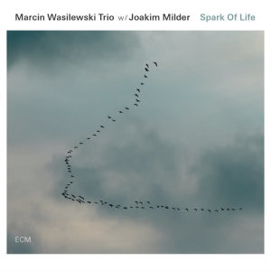 收聽Marcin Wasilewski Trio的Still歌詞歌曲