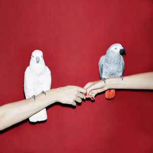 ดาวน์โหลดและฟังเพลง U And Me (Leisure Remix) พร้อมเนื้อเพลงจาก M.I.L.K.