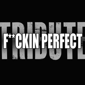 收聽The A-Team的F**kin' Perfect (Pink Tribute)歌詞歌曲