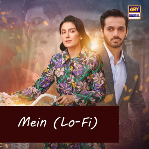 Album Mein (Lo-Fi) from Asim Azhar