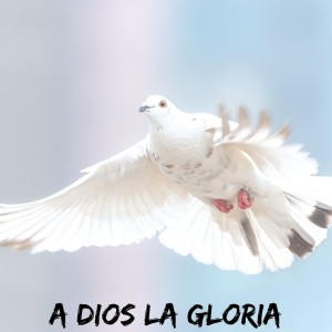 Dengarkan Toma Mi Mano (其他) lagu dari Tercer Cielo dengan lirik