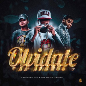 收聽Dj Gomeko的Olvidate歌詞歌曲