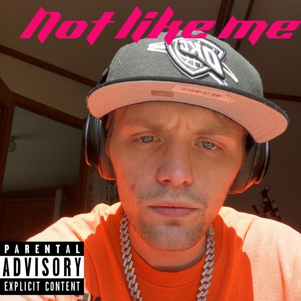 Not Like Me (Explicit)
