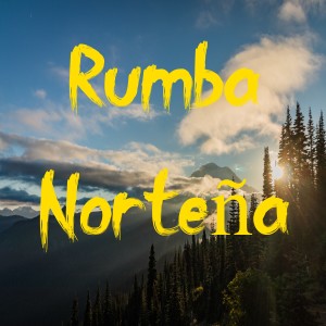 Listen to Seguramente song with lyrics from Alfredo Olivas
