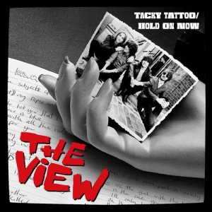 ดาวน์โหลดและฟังเพลง Hold on Now (Radio Edit) พร้อมเนื้อเพลงจาก The View