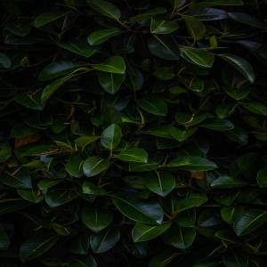 收听SPA的Over The Moon歌词歌曲