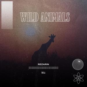 อัลบัม Wild Animals ศิลปิน Rezarin
