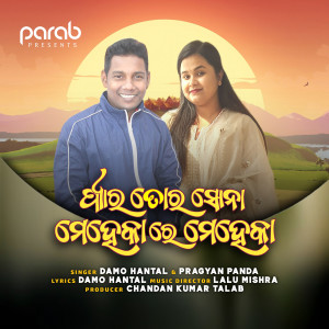Listen to Pyaar Tora Sona Meheka Meheka song with lyrics from Damo Hantal