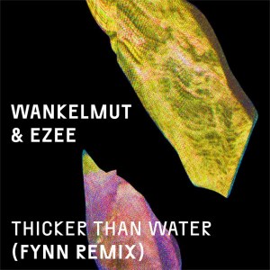 收聽Wankelmut的Thicker Than Water (Fynn Remix)歌詞歌曲
