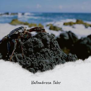 Album Vallombrosa Tales oleh Various