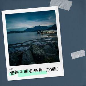 Album 望断天涯苦相思（DJ版） oleh 小丽