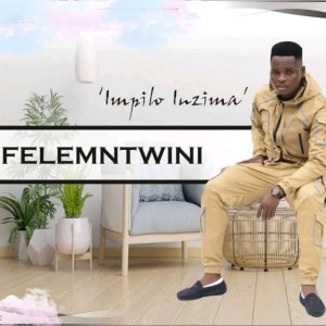 ดาวน์โหลดและฟังเพลง IMPILO INZIMA พร้อมเนื้อเพลงจาก Felemntwini