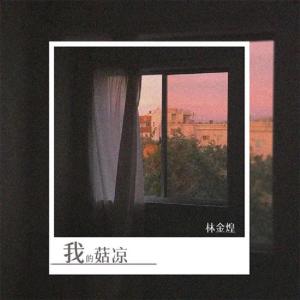 林金煌的专辑我的菇凉 (重制版)