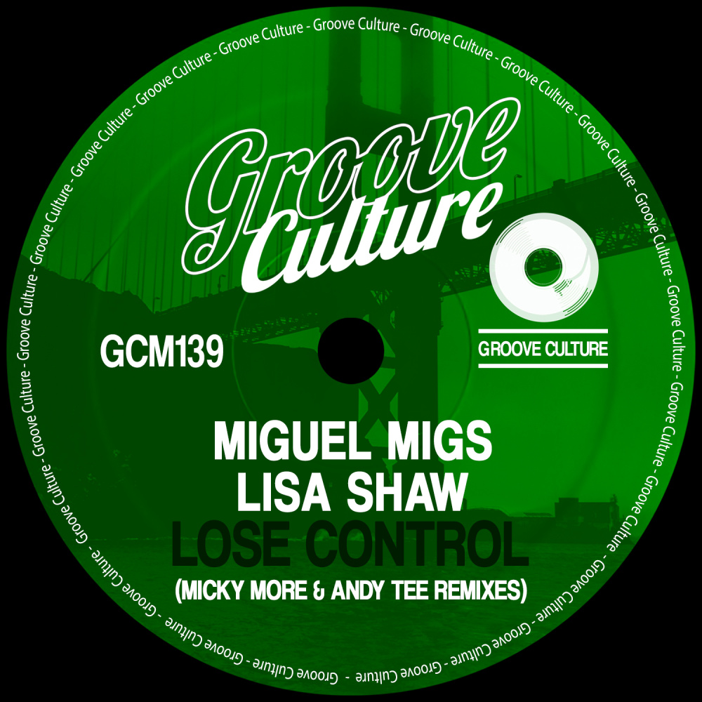 Lose Control (Micky More & Andy Tee Instrumental Remix)