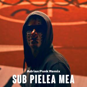 收聽Carla's Dreams的Sub pielea mea (Adrian Funk Remix)歌詞歌曲