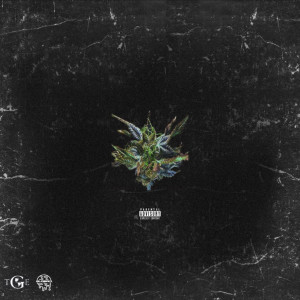 Listen to Otw 2 Yah (Explicit) song with lyrics from Various