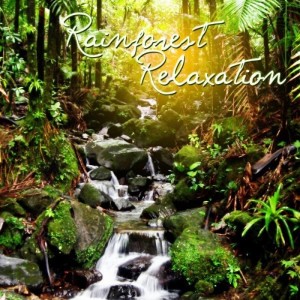 收聽Calming Rainforest Sounds的Birds of Life歌詞歌曲