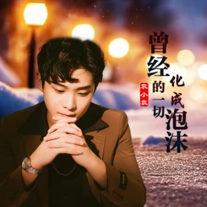 Listen to 曾经的一切化成泡沫 song with lyrics from 袁小袁