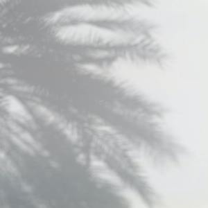 收听Spa Music Relaxation的Music for Sleeping歌词歌曲