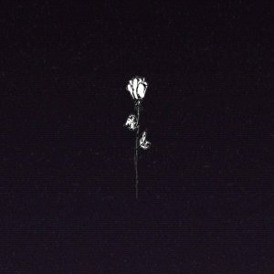 Baby Venas的專輯Sabe Me Ter