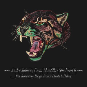 ดาวน์โหลดและฟังเพลง She Need It พร้อมเนื้อเพลงจาก Andre Salmon