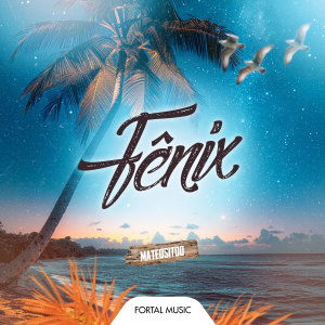 Album Fênix (Remix) from Mateositoo