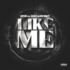 Like Me (feat. Honeykomb Brazy) (Explicit)