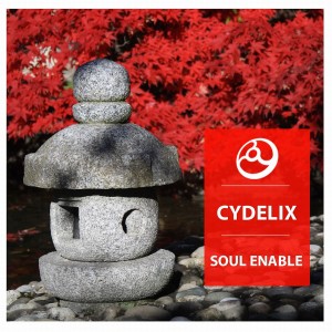 อัลบัม Soul Enable ศิลปิน 