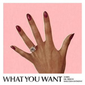 SNBRN的專輯What You Want(Explicit)