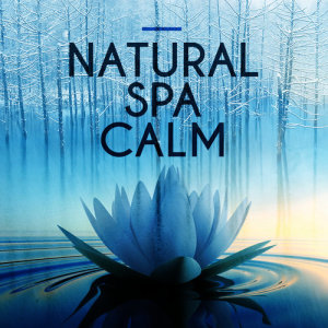 收聽SPA Music的Streams Flowing歌詞歌曲
